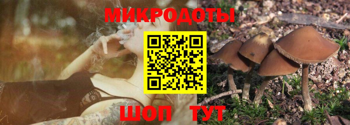 Грозный  Псилоцибиновые грибы MAGIC MUSHROOMS  Вход с VPN 