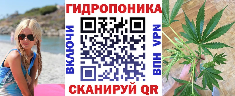 Канабис план наркошоп Грозный